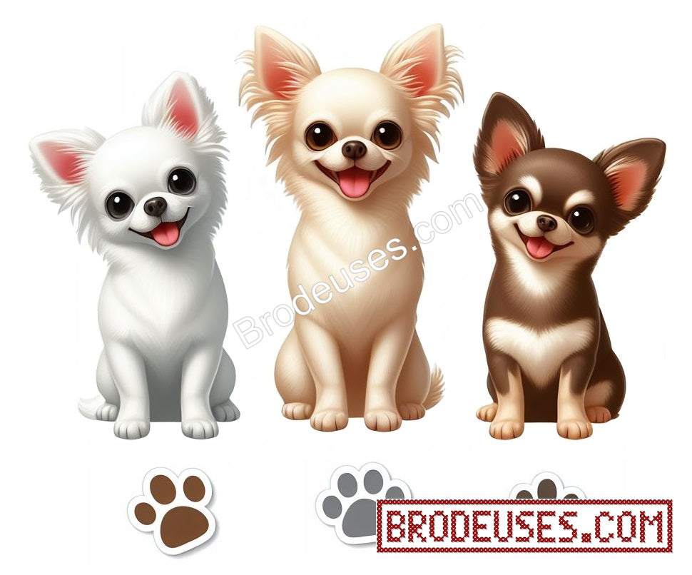 Les Trois Chichis (3 chihuahuas) - Diagramme PDF à télécharger